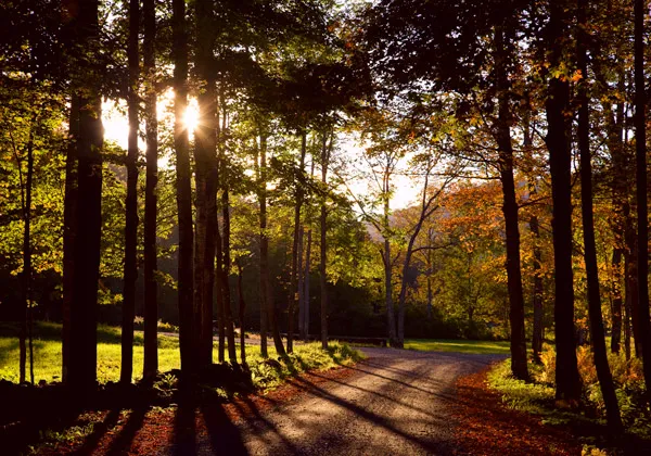Soft natural light changing through a day cycle with subtle gradient transitions